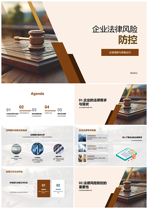 企业法律风险防控策略构建与合规案例分析PPT模板