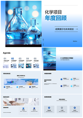2025生物医疗化学项目年度协作执行防控评估PPT模板