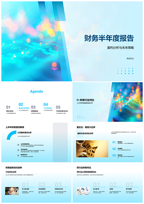 2025半年度财务盈利策略数据趋势行业回报效率PPT模板