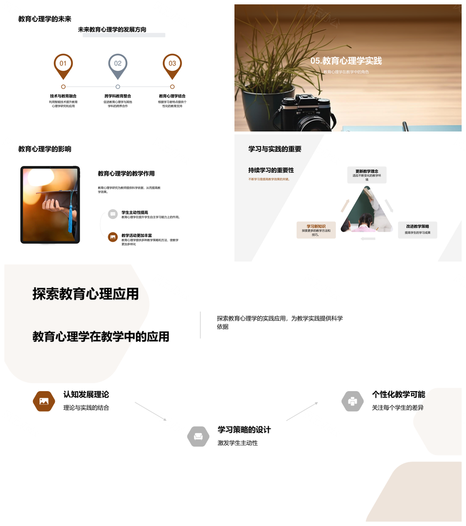 教育心理学认知动机情绪策略干预探析PPT模板