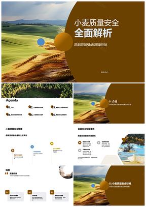 小麦质量安全全流程管理专家企业标准风险营养解析PPT模板