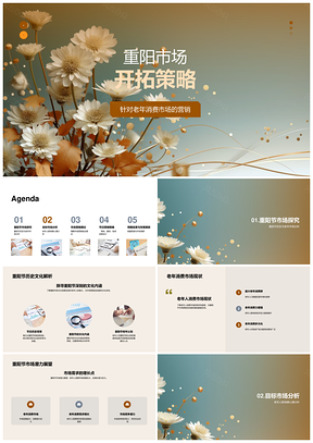 重阳节老年市场跨媒体营销组合策略PPT模板
