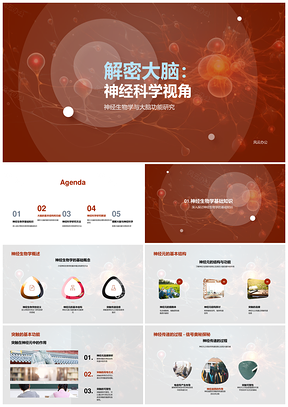 神经科学解密大脑神经元突触传递网络PPT模板