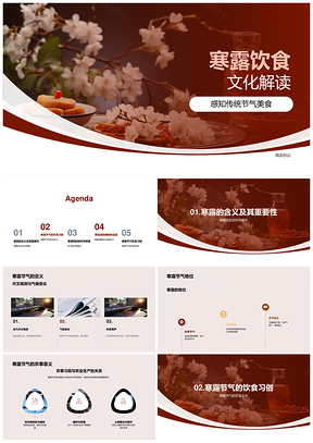 寒露饮食文化节气习俗饭酒烹饪营养PPT模板