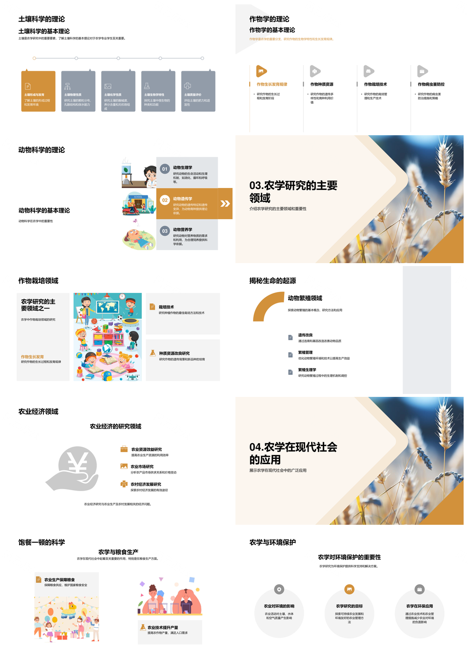 农学原理作物理论与麦田应用发展PPT模板