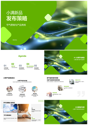 小满节气新品发布策略功能亮点元素营销PPT模板