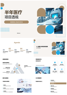 医疗保健项目战略进展成果设备团队评估PPT模板