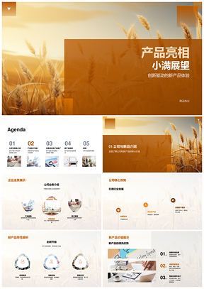 小满新品亮相创新驱动未来展望PPT模板