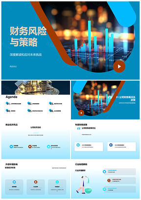 财务风险策略年度经济环境总结PPT模板