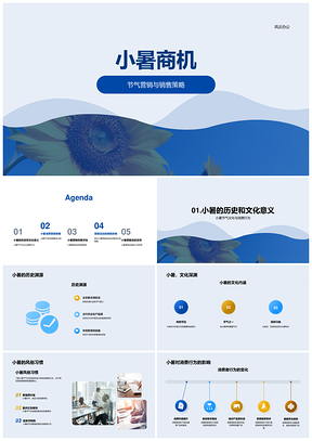 小暑商机节气营销策略消费需求分析PPT模板