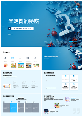 圣诞树常绿彩灯科学文化探秘PPT模板