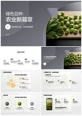 绿色豆类种植引领环保农业新篇PPT模板