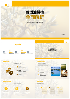 油橄榄种植质量控制认证与品质管理解析PPT模板
