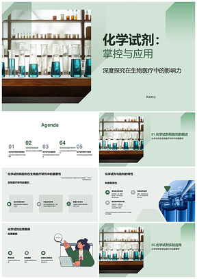 化学试剂助剂种类特性作用与应用领域PPT模板