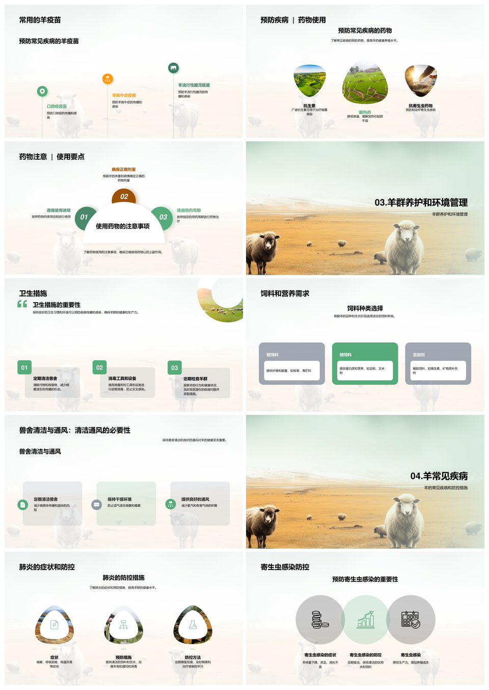 羊健康养殖与疯牛症腹泻皮疣病防控PPT模板