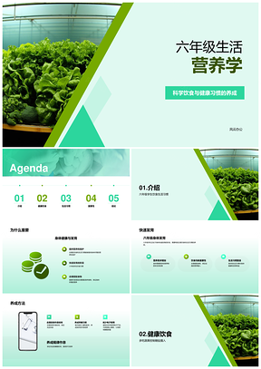 六年级健康饮食养成促成长发育PPT模板