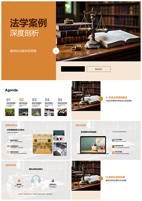 法学案例批判性思维教学与法律原则分析PPT模板