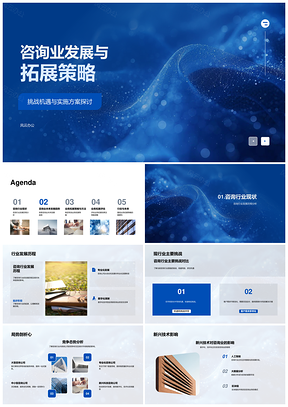 咨询行业发展历程挑战竞争态势发展策略PPT模板