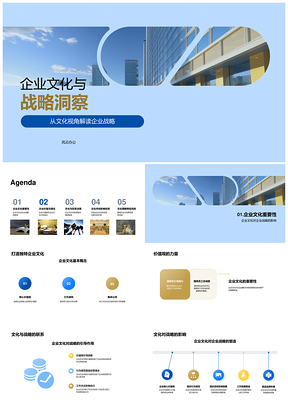企业战略文化价值观与投资风险评估PPT模板