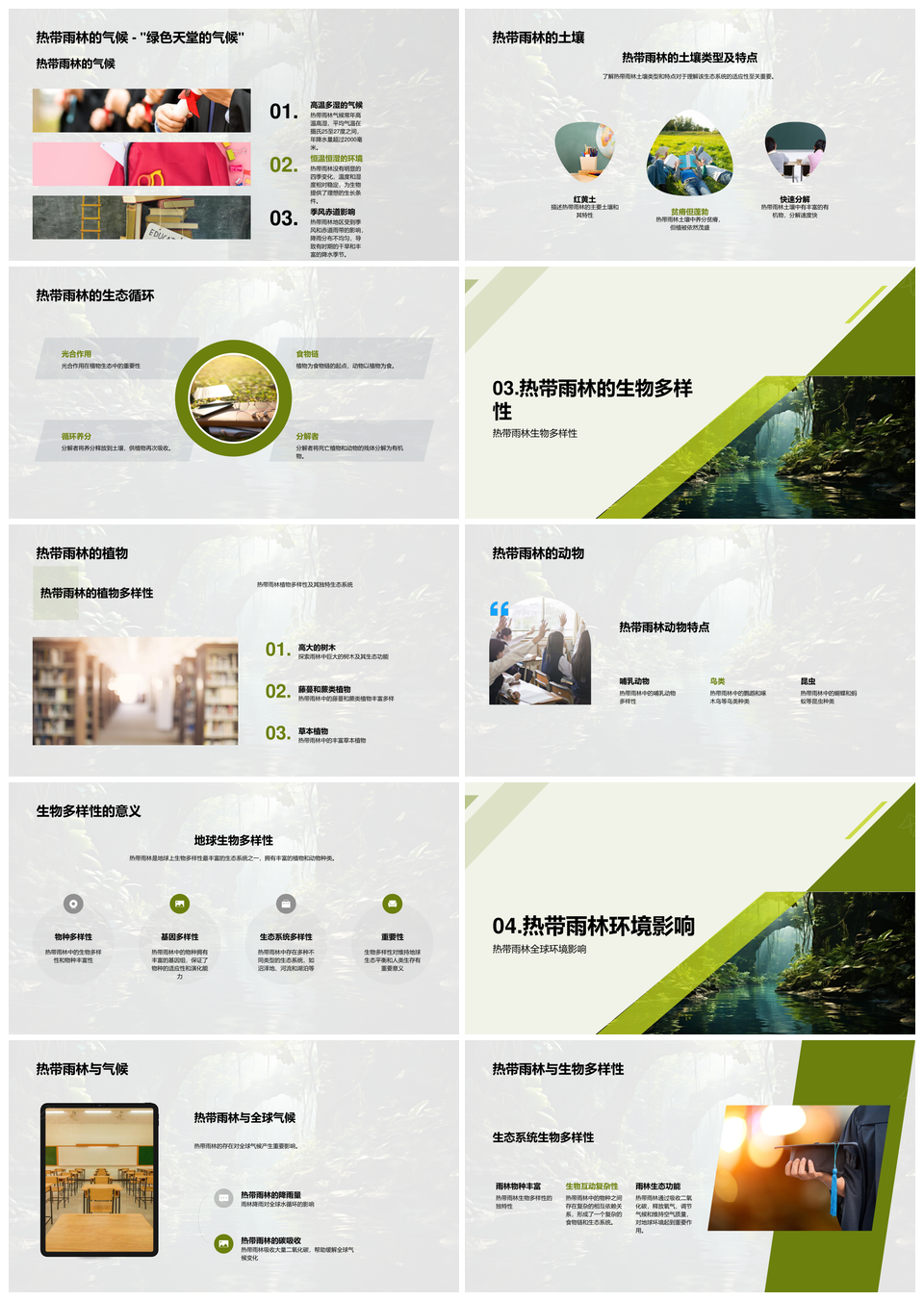 热带雨林生物多样性气候威胁与保护PPT模板