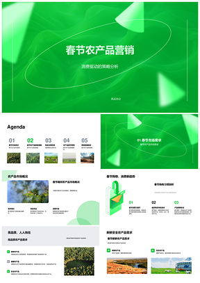 春节农产品营销策略社交媒体需求竞市推广PPT模板