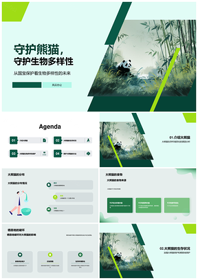 守护国宝大熊猫维护生态多样性PPT模板
