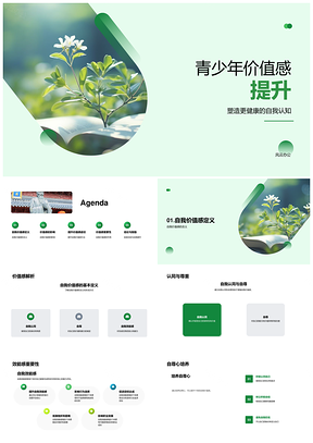 青少年自我价值感提升与高中教育实践PPT模板