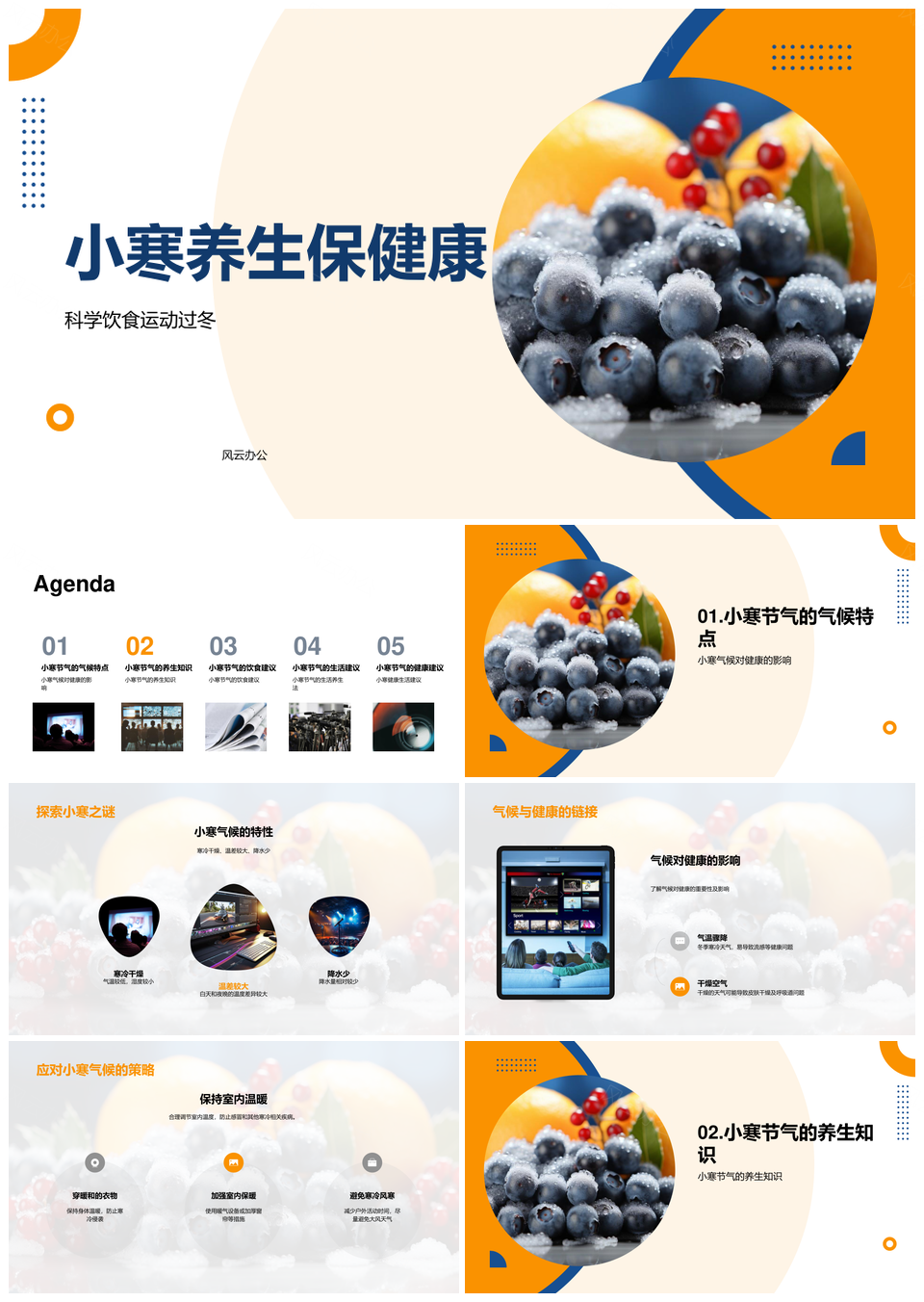 小寒养生科学饮食运动御寒迎飞雪PPT模板