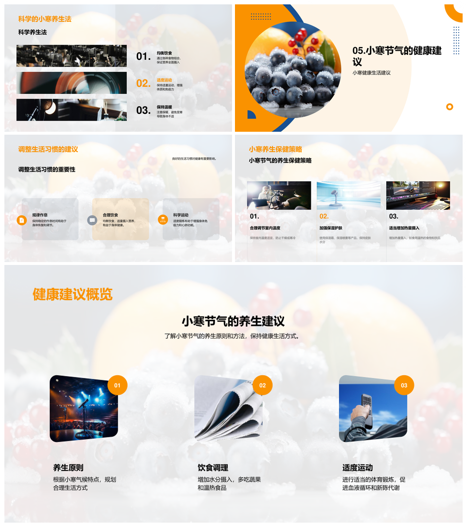 小寒养生科学饮食运动御寒迎飞雪PPT模板