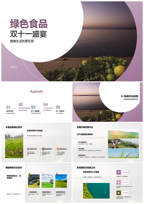 绿色食品双十一电商优惠健康购优质农品PPT模板