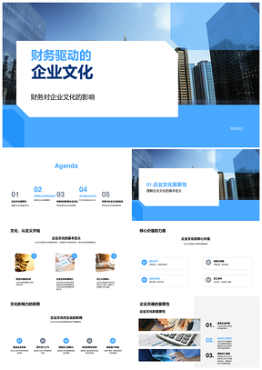 财务驱动文化决策培训图表影响PPT模板