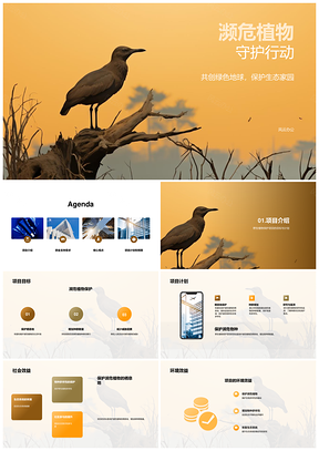 濒危植物保护慈善基金环保项目申请计划PPT模板