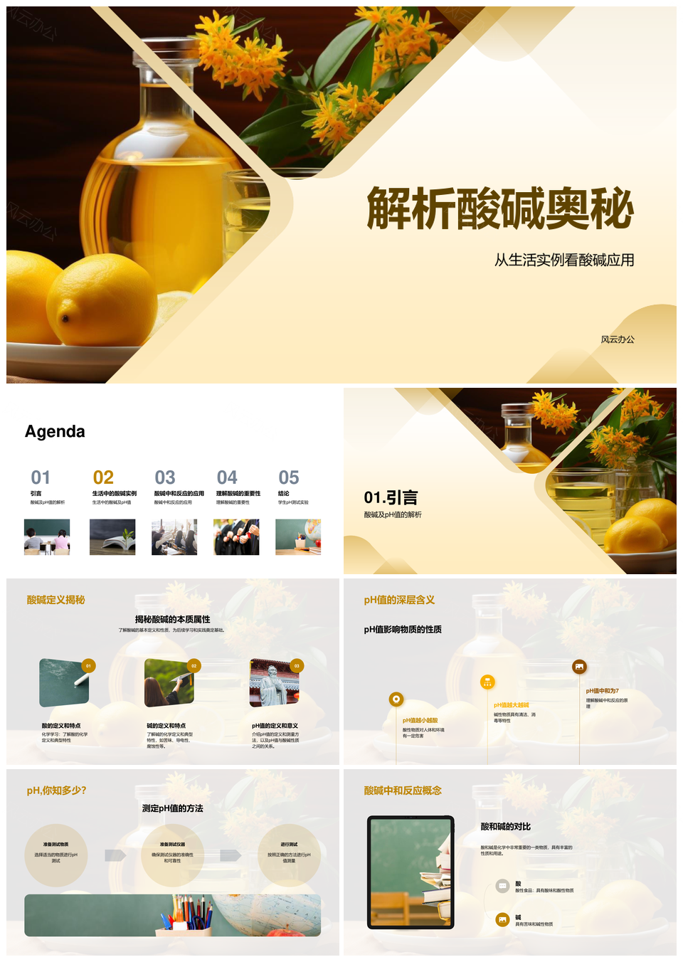 酸碱奥秘与生活实例pH中和应用PPT模板