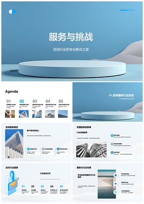 咨询服务应对行业挑战满足客户需求特色方案PPT模板