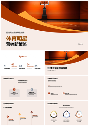 体育明星电商联名IP营销策略PPT模板