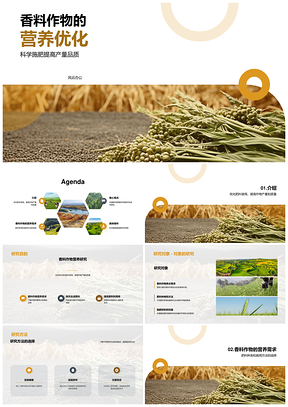 香料作物营养需求与施肥技术优化PPT模板