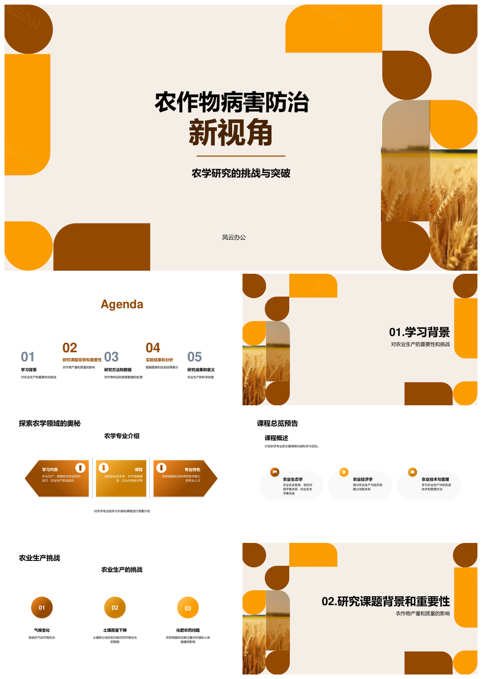 农学本科答辩展示小麦病害防治研究成果PPT模板