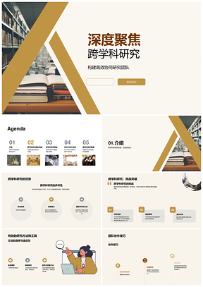 跨学科团队协作优势挑战方法工具研究PPT模板