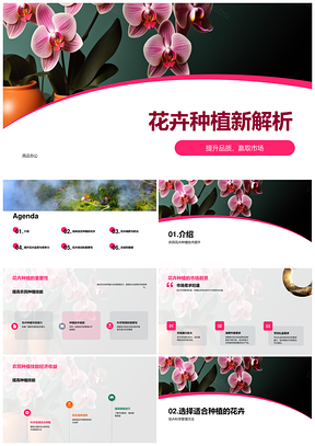 花卉种植技术助农产销增收PPT模板