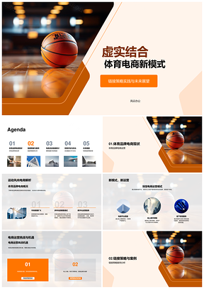 体育电商虚实结合链接新策略PPT模板