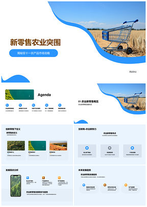 新零售农业双十一农产品精准营销突围策略PPT模板
