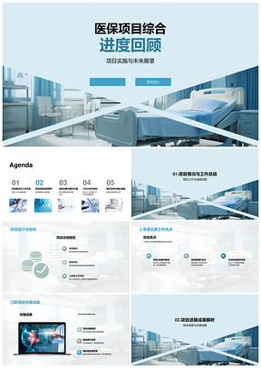 医保项目季度进展成果与展望PPT模板