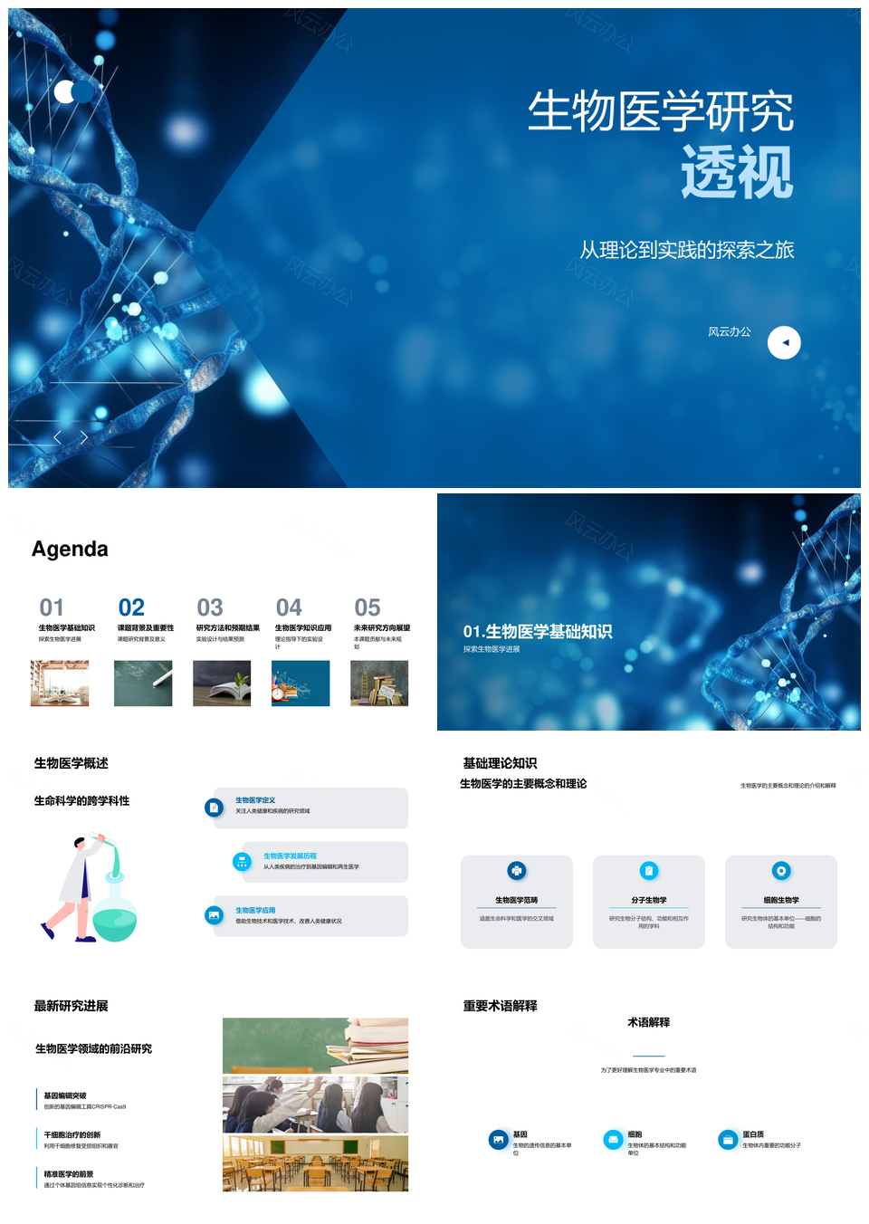 生物医学本科生开题显微实验研究进展PPT模板