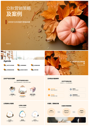 立秋营销策略案例分析数据驱动行业交流核心秋叶执行评估PPT模板