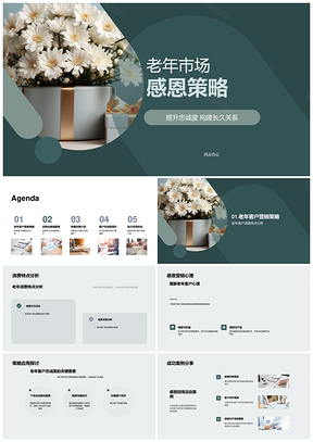 重阳节老年市场感恩定制服务提升品牌忠诚PPT模板