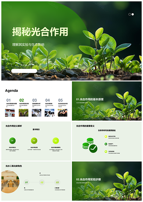 光合作用实验揭秘光水二氧化碳生态影响PPT模板