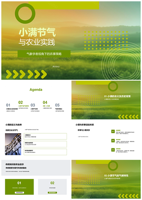 2025小满农事气象策略与土壤管理PPT模板