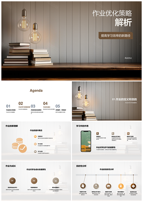 作业优化策略提升学习效率评估建议概览PPT模板