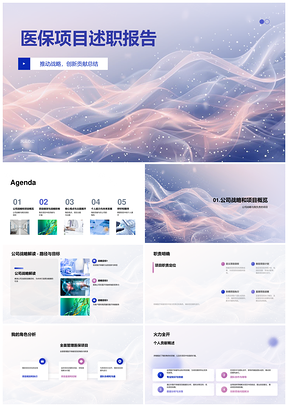医疗保健项目战略创新绩效领导述职价值伙伴PPT模板