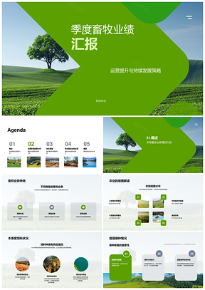 畜牧季度业绩运营提升持续发展策略汇报PPT模板